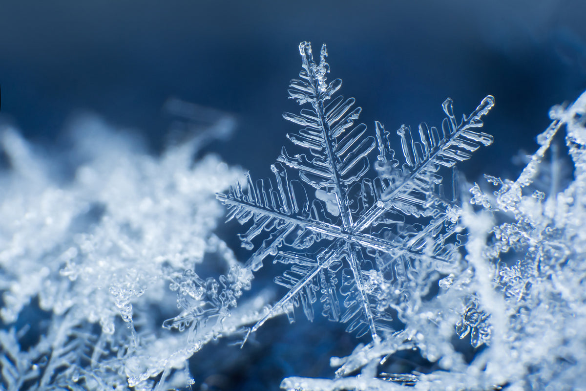 Selling Snowflakes
